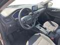 Ford Kuga 2.5 l Duratec Plug-In Hybrid (PHEV) Titanium Autom Grau - thumbnail 10
