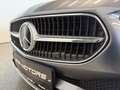 Mercedes-Benz C 200 d T *LED-HIGH-PERFORMANCE*LANE*KAMERA*TOTW.* Grau - thumbnail 9