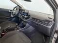 Ford Fiesta 1.1 75 CV 5 porte Titanium Grijs - thumbnail 15