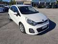 Kia Rio Rio 5p 1.2 cvvt Active Bianco - thumbnail 1