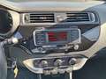 Kia Rio Rio 5p 1.2 cvvt Active Bianco - thumbnail 9