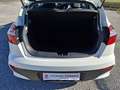 Kia Rio Rio 5p 1.2 cvvt Active Bianco - thumbnail 12
