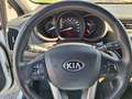 Kia Rio Rio 5p 1.2 cvvt Active Bianco - thumbnail 7