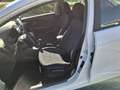 Kia Rio Rio 5p 1.2 cvvt Active Bianco - thumbnail 5