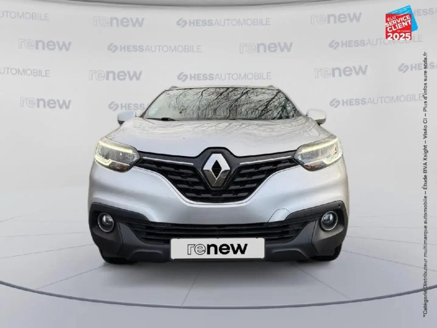 Renault Kadjar 1.2 TCe 130ch energy Business Grijs - 2
