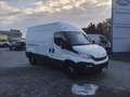Iveco Daily 35 S14 V H2 3520  SOLO PER COMMERCIANTI Blanc - thumbnail 3