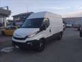 Iveco Daily 35 S14 V H2 3520  SOLO PER COMMERCIANTI Blanc - thumbnail 1