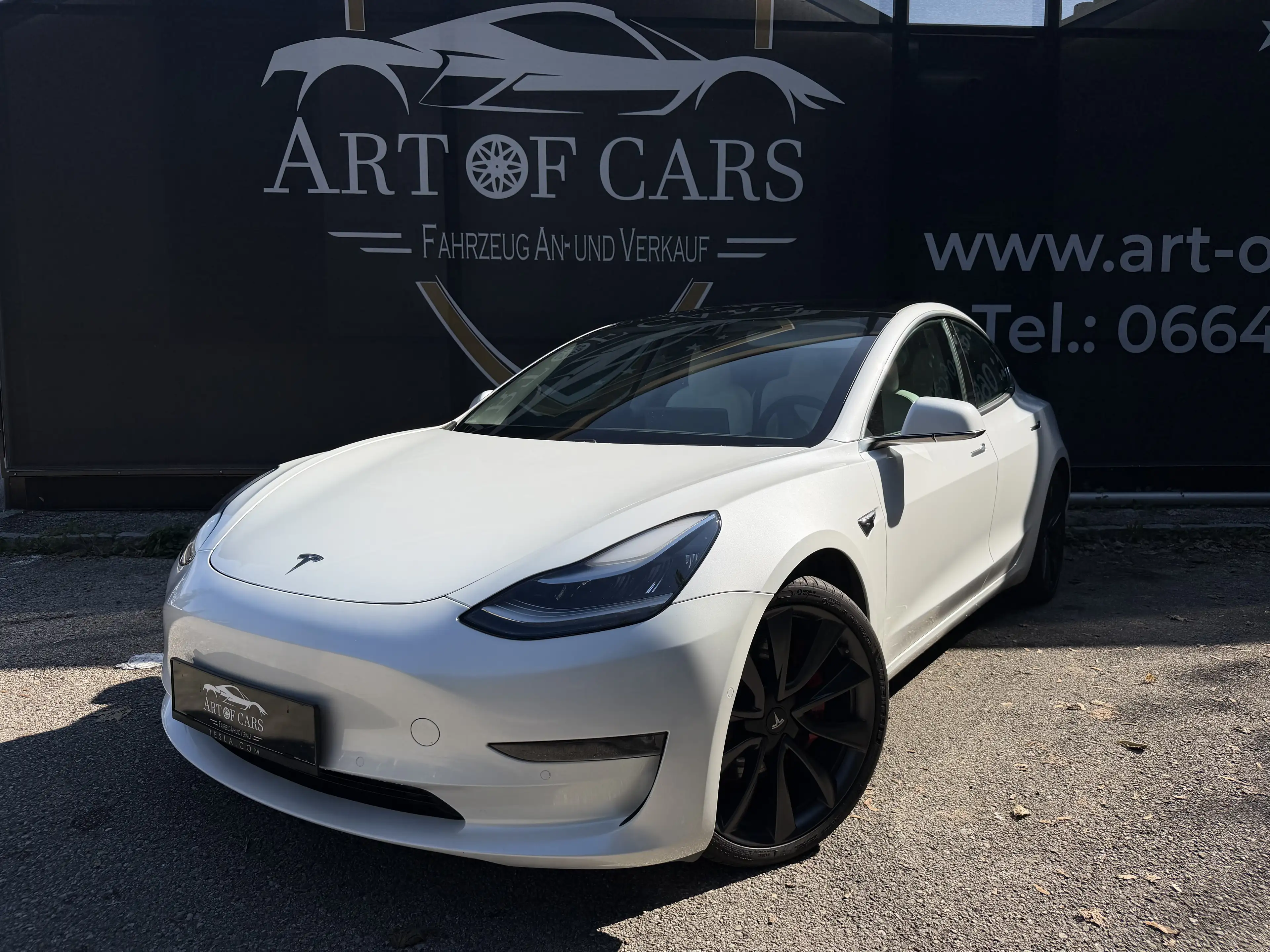 Tesla Model 3 Model 3 Performance DUAL AWD MAX Range / Ab 294 Eu