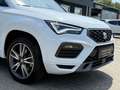 SEAT Ateca 2.0 TDI FR,Virtual,R-Kamera,Winter.3,49% Blanc - thumbnail 4