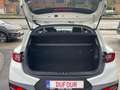 Kia Stonic 1.0T 100 CV Black Edition Blanc - thumbnail 8