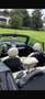 MINI Cooper Cabrio Mini Cooper Cabrio Grün - thumbnail 4