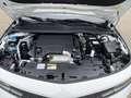 Opel Astra ST Edition, Komfort-Paket,Klimaautomatik ,Verkehrs Wit - thumbnail 14