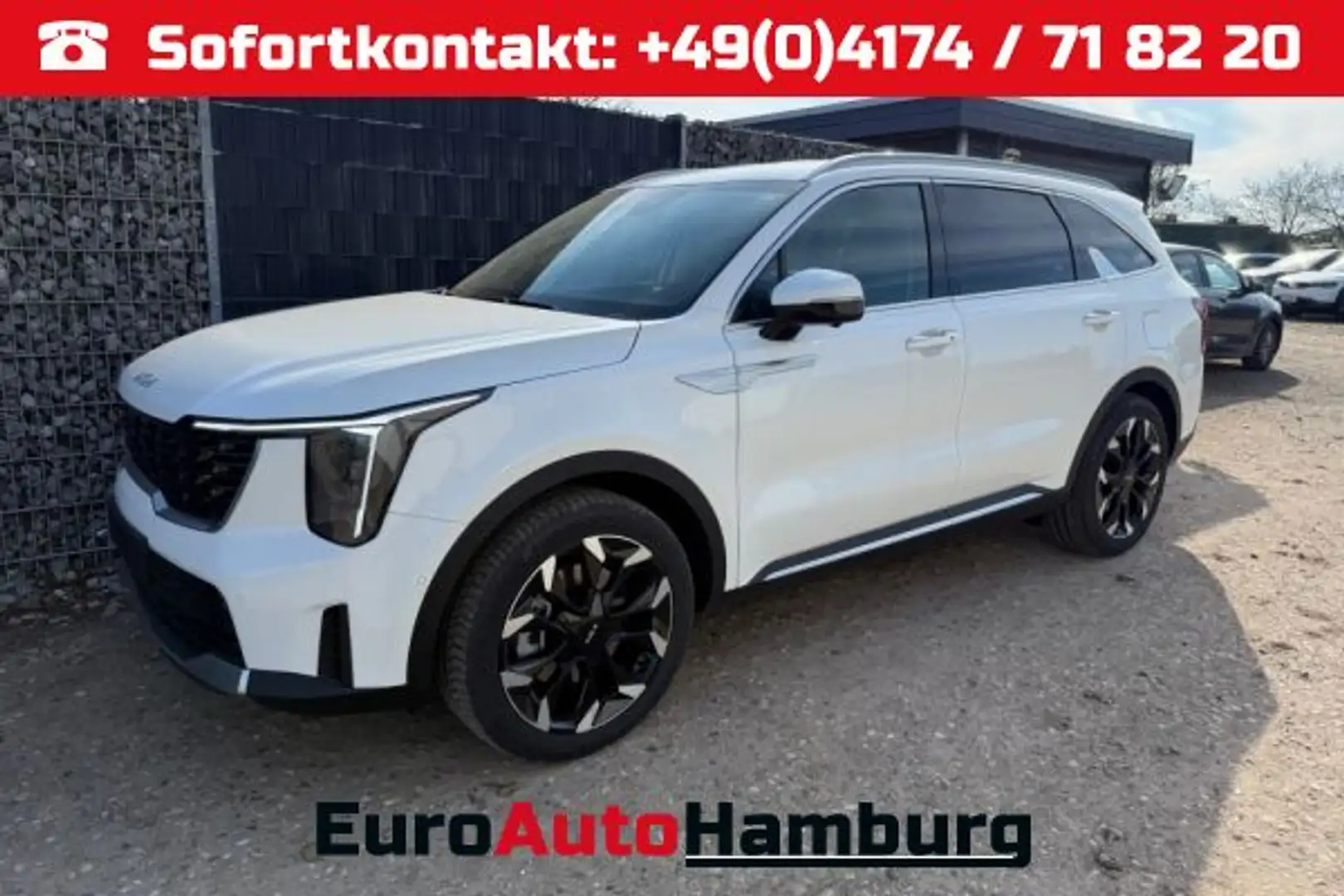 Kia Sorento 2.2 CRDI 4WD DCT 7-S Leder Relax Pano 360 Weiß - 1