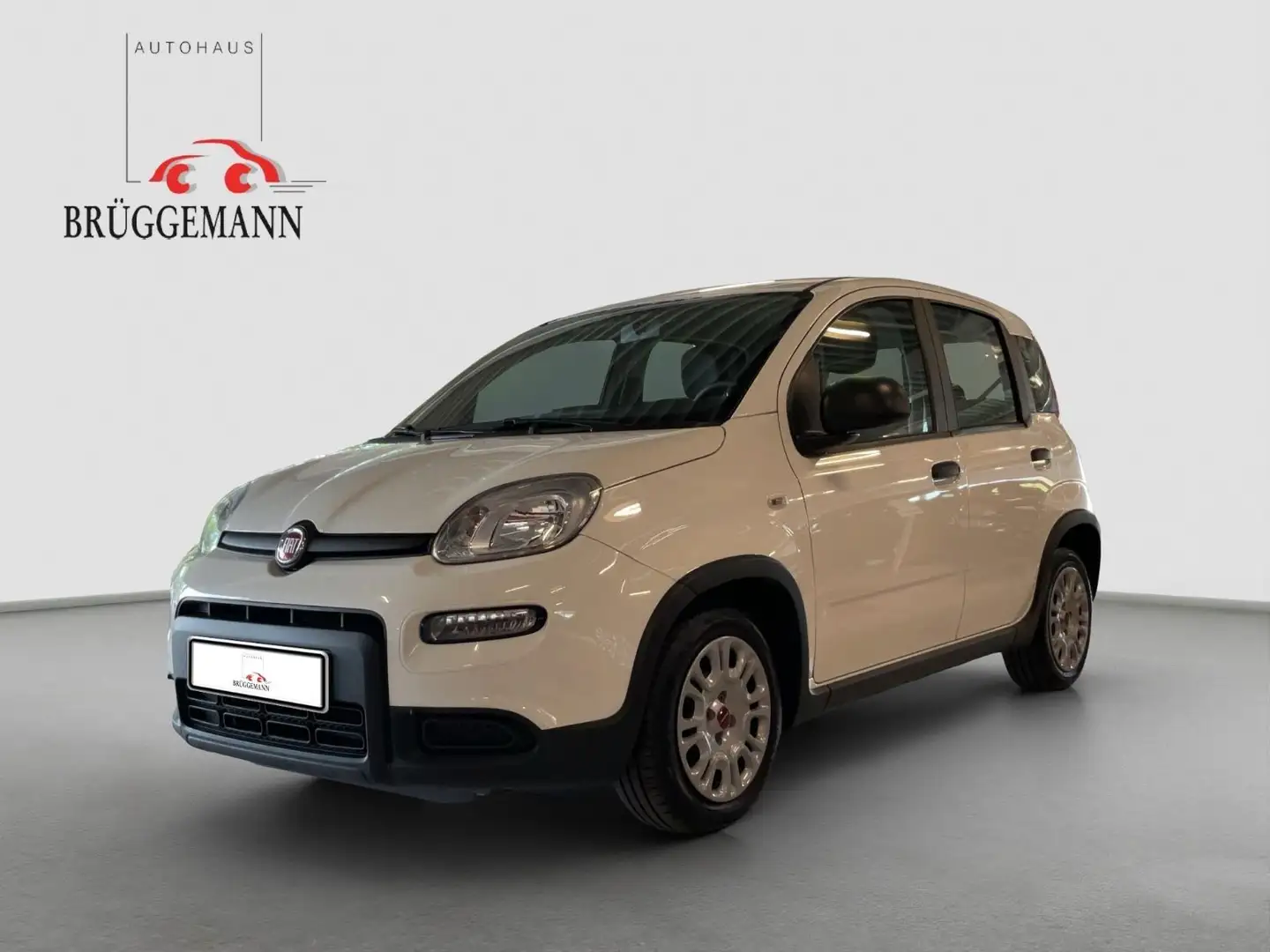 Fiat Panda 1.0 GSE Hybrid + Techpaket Weiß - 1