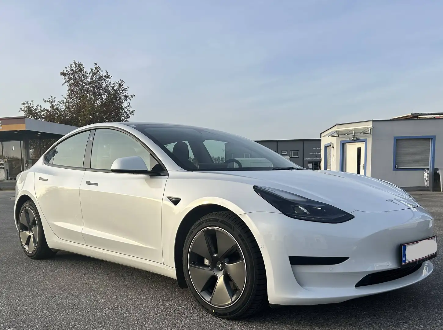 Tesla Model 3 Model 3 Standard Range RWD Plus 57,5kWh RWD Plus Weiß - 1