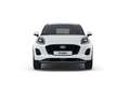 Ford Puma Titanium 1.0I NAVI*LED*SHZ*LHZ*CAM*KLIMAAUT Blanc - thumbnail 15