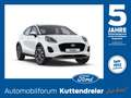 Ford Puma Titanium 1.0I NAVI*LED*SHZ*LHZ*CAM*KLIMAAUT Blanc - thumbnail 1