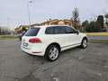 Volkswagen Touareg 3.0 V6 tdi Executive 245cv tiptronic Bianco - thumbnail 3