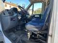 Fiat DUCATO 2.3 MJT FRIGO Bianco - thumbnail 10