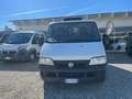 Fiat DUCATO 2.3 MJT FRIGO Bianco - thumbnail 2
