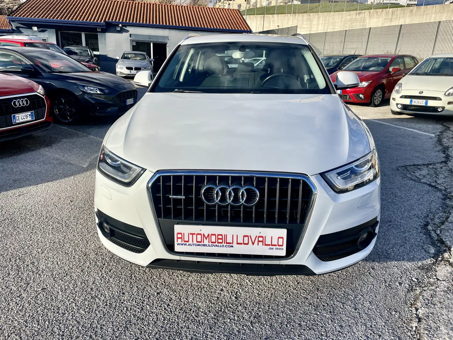 Audi Q3 2.0 tdi Advanced Plus quattro 177cv s-tronic Bianco - 2
