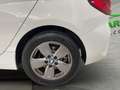 BMW 116 116d (F40) Blanco - thumbnail 12