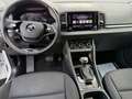 Skoda Karoq Executive 2.0 TDI 85 kW (115 CV) 7 marce - DSG Bianco - thumbnail 7
