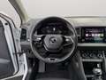 Skoda Karoq Executive 2.0 TDI 85 kW (115 CV) 7 marce - DSG Bianco - thumbnail 9
