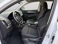 Skoda Karoq Executive 2.0 TDI 85 kW (115 CV) 7 marce - DSG Bianco - thumbnail 6