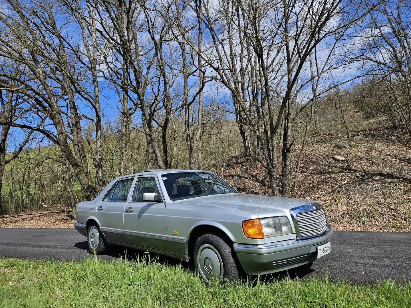 Mercedes-Benz 300 300 SE Grigio - 2