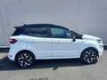 Ford EcoSport St Line es 125 Wit - thumbnail 5