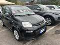 Fiat Panda Panda III 2021 1.2 easypower Gpl s Nero - thumbnail 1