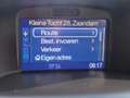 Ford Fiesta 1.0 EcoBoost Titanium NAVI CAMERA CRUISE CONTROL 5 Gris - thumbnail 13