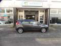 Ford Fiesta 1.0 EcoBoost Titanium NAVI CAMERA CRUISE CONTROL 5 Gris - thumbnail 4