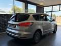 Ford S-Max 2.0 tdci Titanium Business s Argento - thumbnail 6