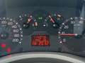 Fiat Panda 1,2 Dynamic Klimaanlage |PICKERL BIS 11/2025| Rojo - thumbnail 9