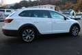 SEAT Leon ST X-Perience 1,6 TDI CR 4Drive Weiß - thumbnail 4