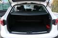SEAT Leon ST X-Perience 1,6 TDI CR 4Drive Weiß - thumbnail 16