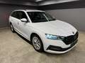 Skoda Octavia Ambition Weiß - thumbnail 9