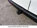 Nissan NV200 Evalia Kasten Comfort Klima / AHK / Kamera Weiß - thumbnail 21