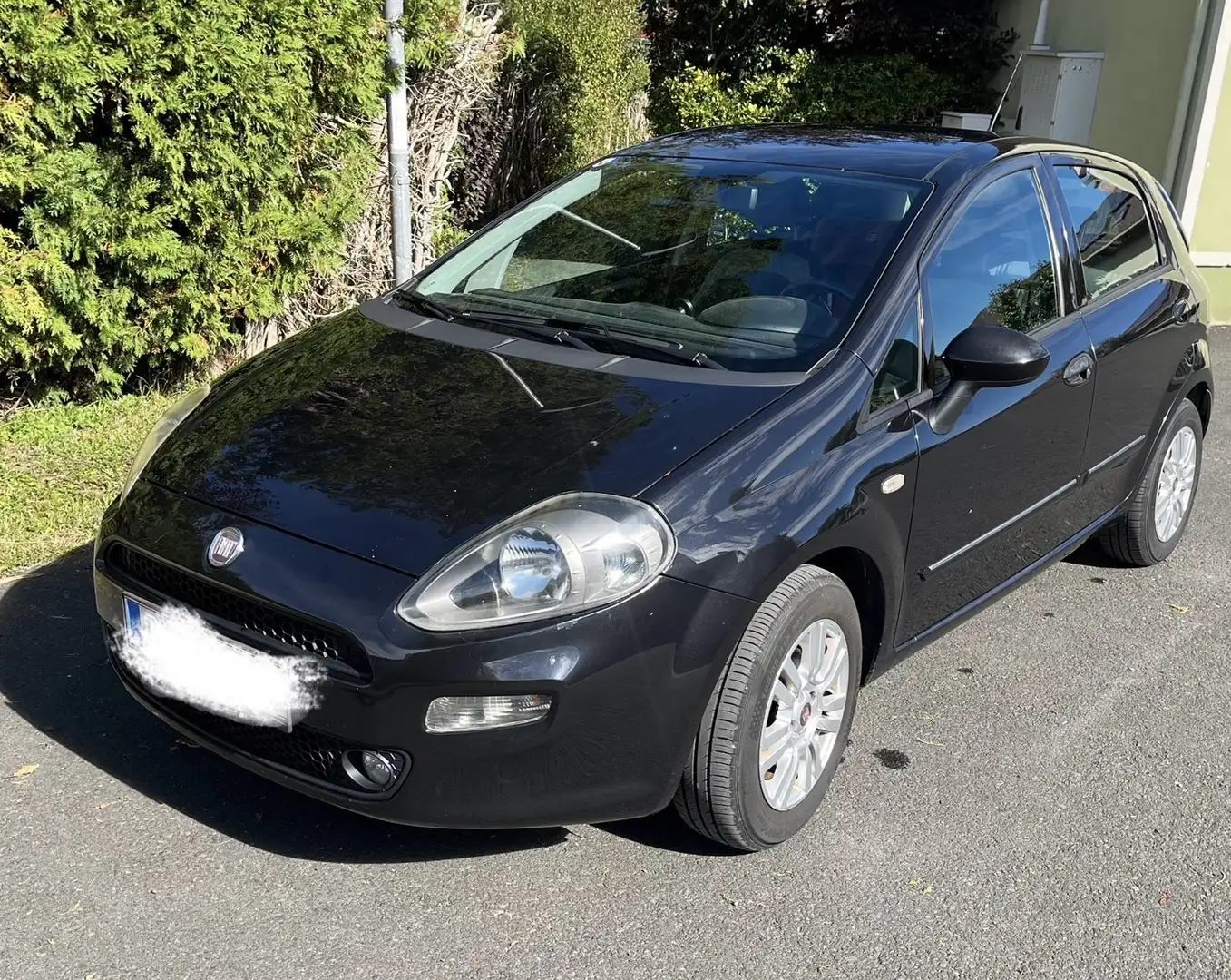 Fiat Punto 1,2 69 Easy - 1
