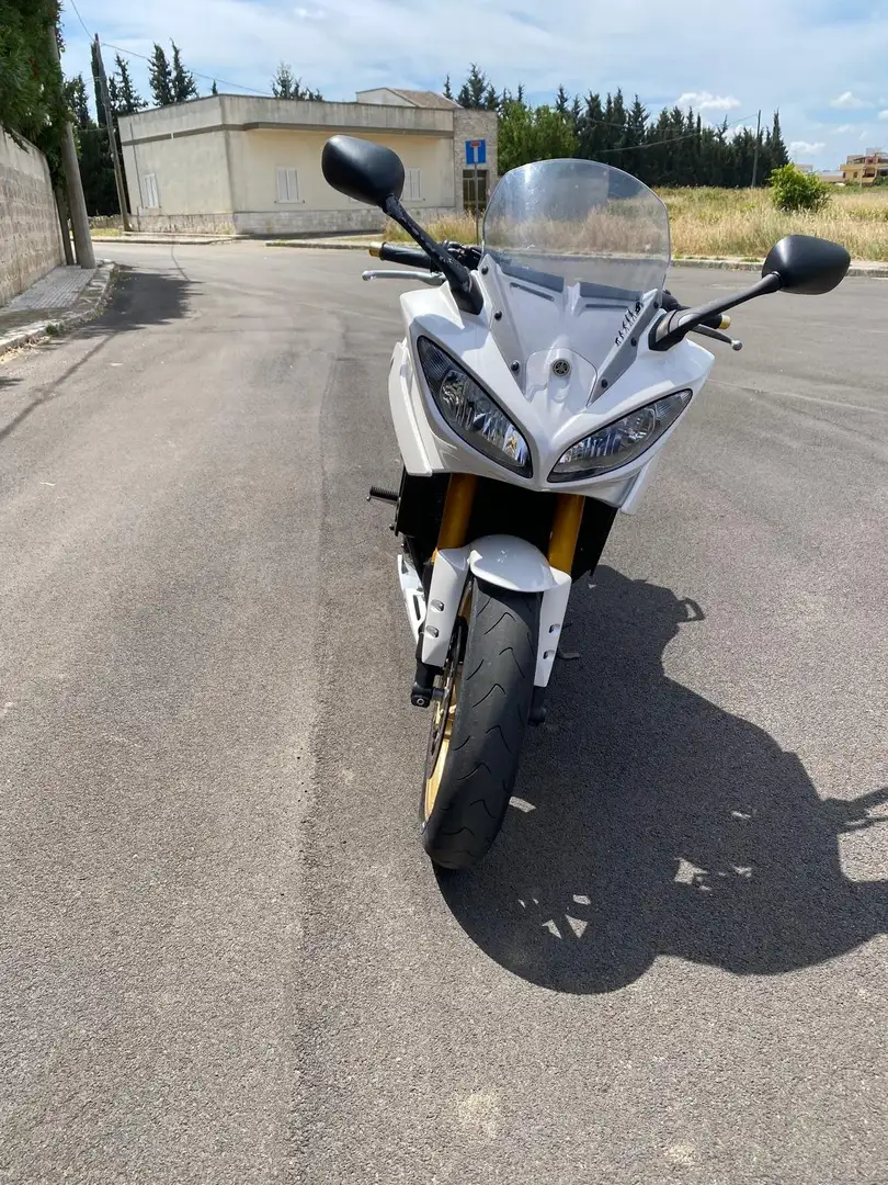 Yamaha FZ 8 Bianco - 1