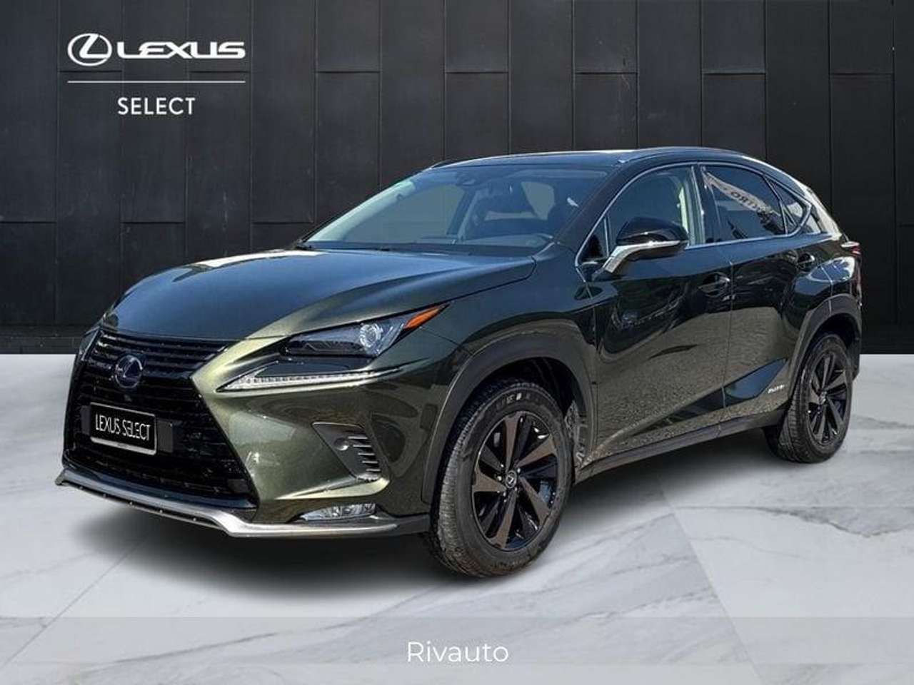 Lexus NX 300 300h 2.5 Premium 4wd cvt