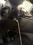 Lancia Ypsilon Ypsilon III 2021 1.2 Silver Gpl 69cv Bianco - thumbnail 10