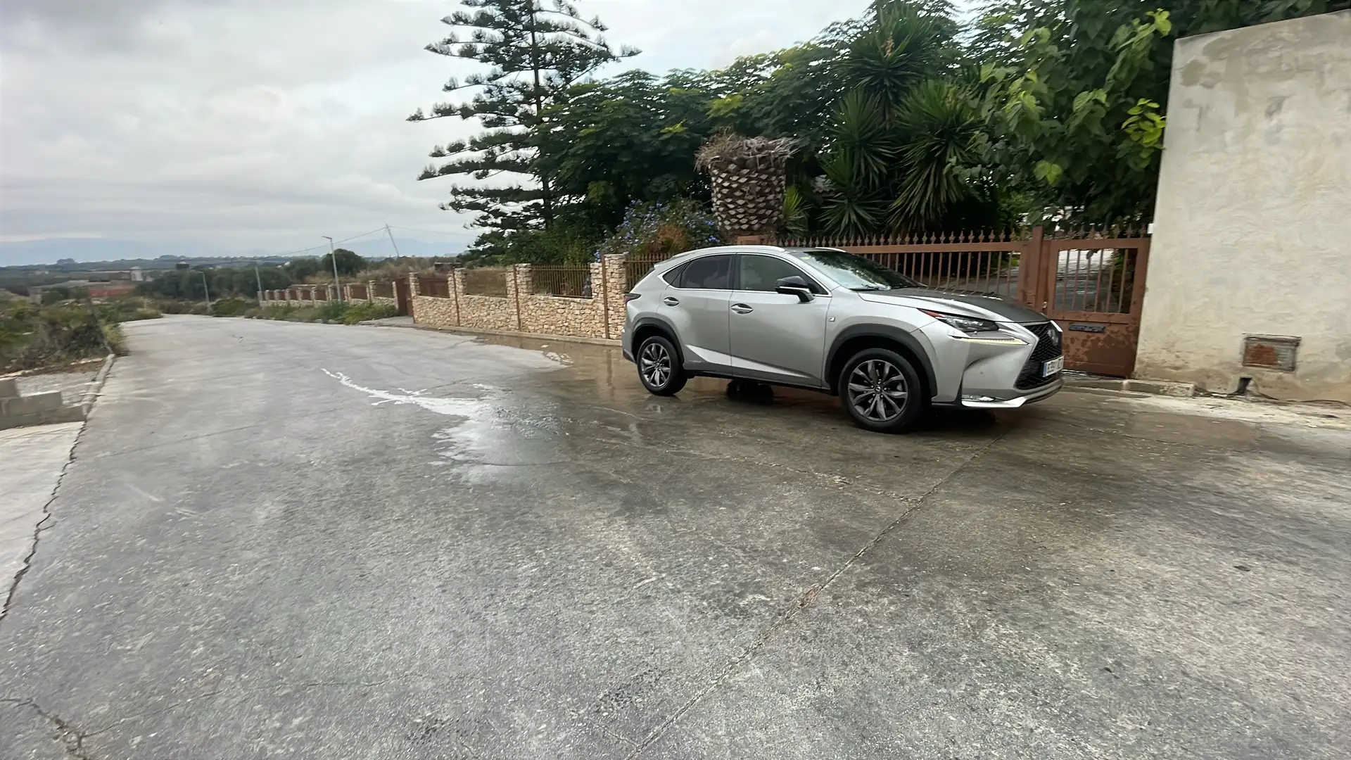 Lexus NX 300h F Sport 4WD Panoramico+Navibox Panoramico + Navibo - 2
