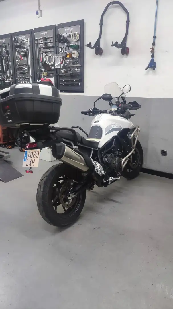 Triumph Tiger 900 GT Blanco - 1