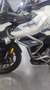 Triumph Tiger 900 GT Blanco - thumbnail 10
