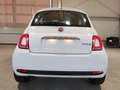 Fiat 500 Top Star 1.0 GSE Hybrid 70 PS Navi-DAB-AndroidA... Blanc - thumbnail 5