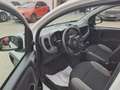 Fiat Panda 1.0 FireFly S&S Hybrid City Life Blanc - thumbnail 7