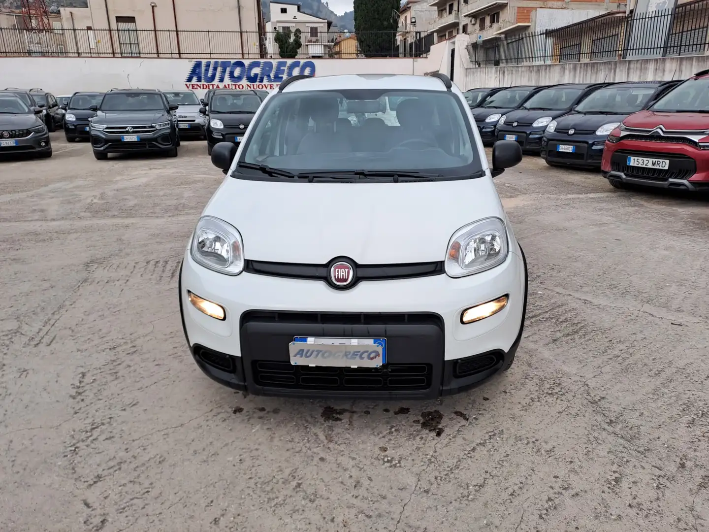 Fiat Panda 1.0 FireFly S&S Hybrid City Life Blanc - 2
